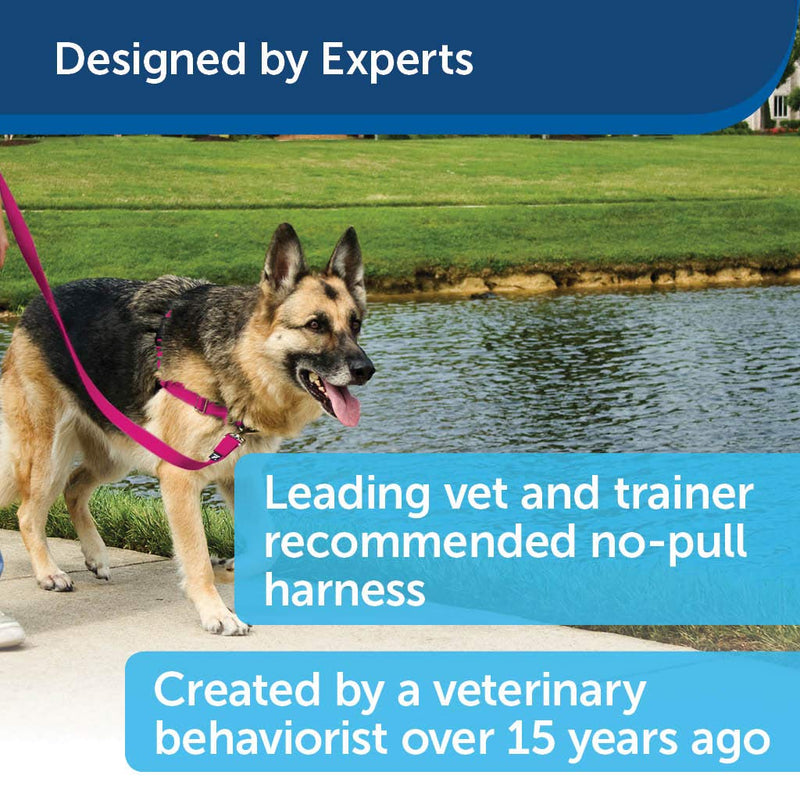 PetSafe Easy Walk Dog Harness, No Pull Dog Harness, Apple Green/Gray, Medium - PawsPlanet Australia