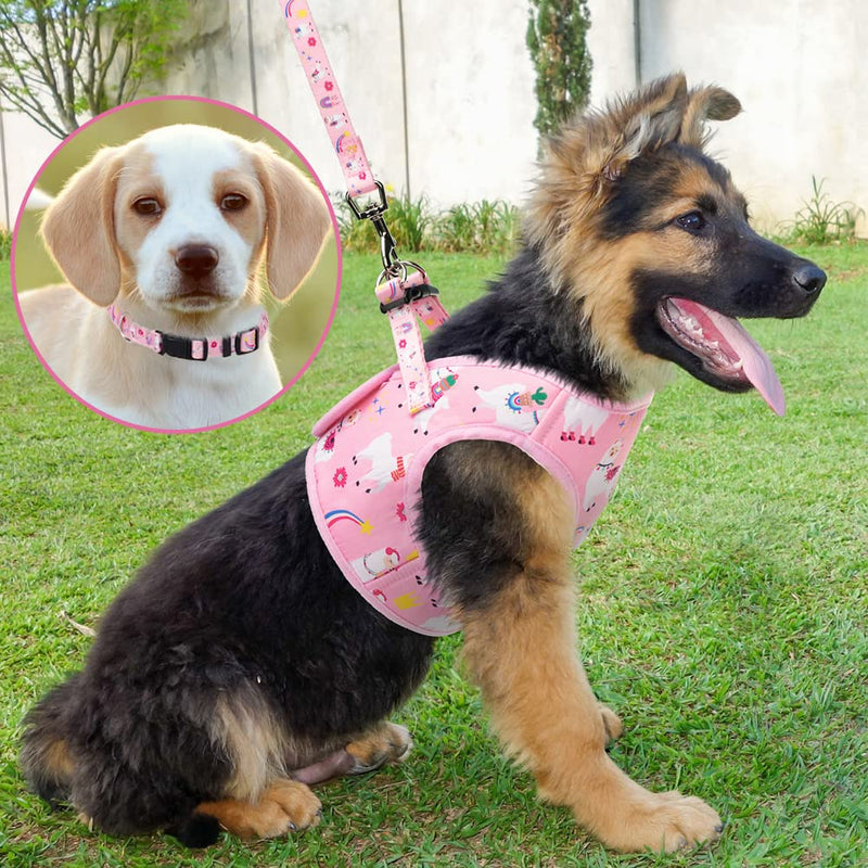 SCENEREAL Small Dog Harness Leash Set - Step in Cute Soft Adjustable Pink Puppy Harness, Breathable No Pull Mesh Dog Vest Harness for Small Medium Dogs Cat Pet - PawsPlanet Australia