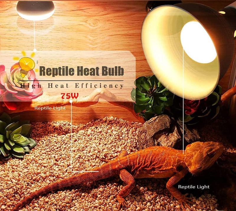 2-Pack Reptile Heat Bulb 75W, Basking Spot Heat Lamp Bulbs for Lizard, Turtle, Aquarium Snake, Reptiles, Amphibian, Chicks, Dog Heating Use. - PawsPlanet Australia