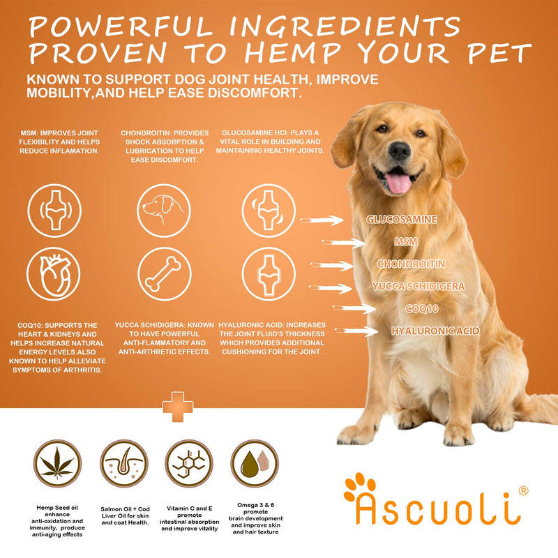 Ascuoli Joint Supplement for Dogs -120pcs- Glucosamine & Natural Chondroitin for Dog, Advanced Canine Hip and Joint Support, Joint Care Chews for Dogs with MSM, Hyaluronic Acid and CoQ10 120pcs - PawsPlanet Australia