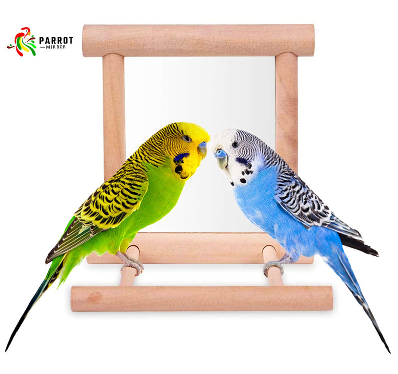 Blessed family Bird Parakeet Mirror for Cage,Parrot Perch Stand,Wooden Hummingbird Swing Toy,Parakeet Accessories for Cockatiels Conure Finch Lovebird Canary African Grey Macaw 1 piece of bird mirror - PawsPlanet Australia