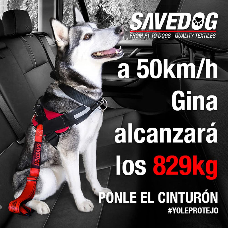 PONSA SAVEDOG. Dog seat belt. The safest harness on the market. Load capacity 1,000KG. Meets ISO 27955:2010 requirements. Ref.027172050102 volume - PawsPlanet Australia