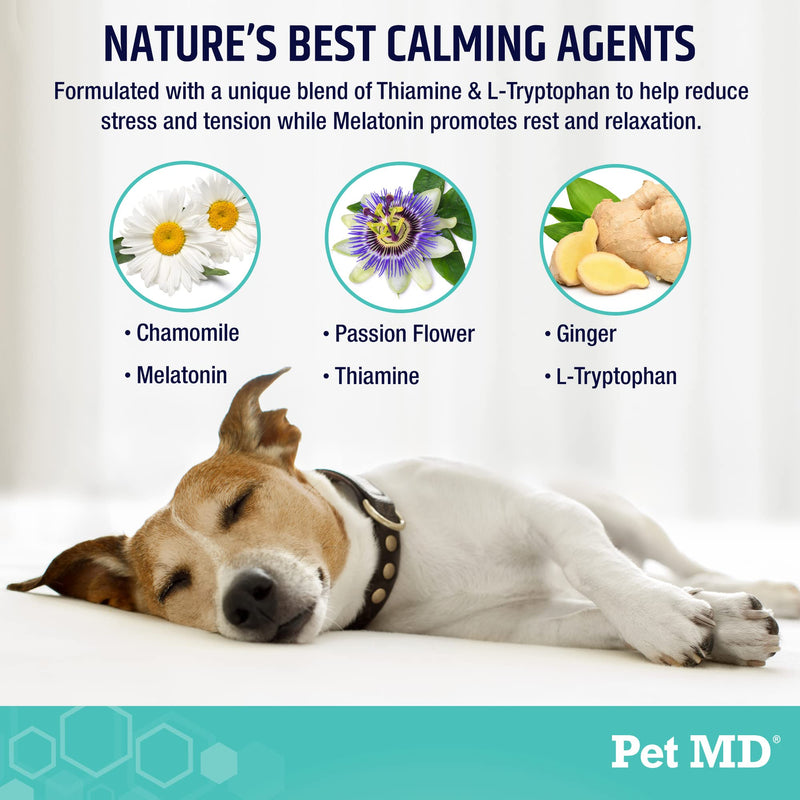 Pet MD Calming Chews for Dogs - Separation Anxiety Relief for Dogs - Enhanced with Melatonin & Ginger - Puppy & Dog Calming Treats for Chronic or Acute Anxiety - 60 ct - PawsPlanet Australia
