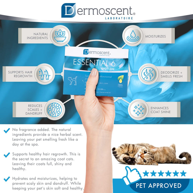 Dermoscent Essential 6 spot-on for cats - skin care for dandruff, dry or oily skin & hair loss - PawsPlanet Australia