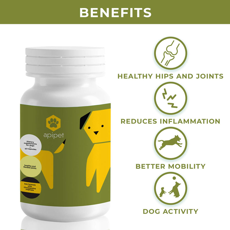 ApiPet Flexi - Dog Joint Care Supplements - Vitamin Rich Natural Pet Formula with Bee Pollen, Propolis, Glucosamine for Stiff Joint - Supports Mobility & Flexibility - Boost Immunity - 60 Capsules - PawsPlanet Australia