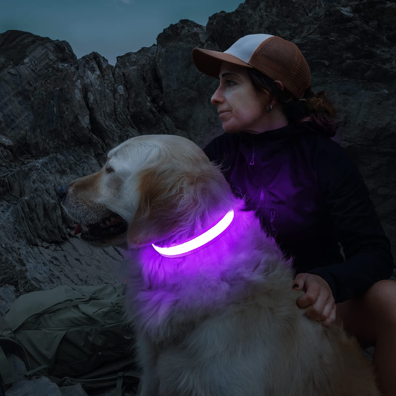 Light Up Dog Collar Rechargeable USB-C, LED Collar for Dogs Waterproof Dog Collar Luminous 7 Colors Flashing Light Adjustable Lightweight Collar Dogs for Small Medium Large Dogs, Purple SS(28-40cm/11-15.7inch) - PawsPlanet Australia