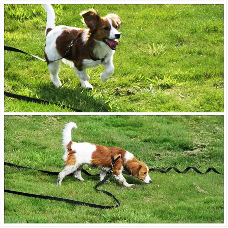 Musonic Dog Training Lead 100ft/30M Extra Long Line Puppy Obedience Recall Training Agility Lead, Great for Training, Play, Camping with Magic Tape Black - PawsPlanet Australia