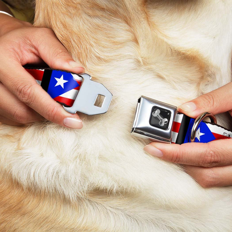 [Australia] - Buckle-Down Seatbelt Buckle Dog Collar - Puerto Rico Flag Repeat/Black Large 