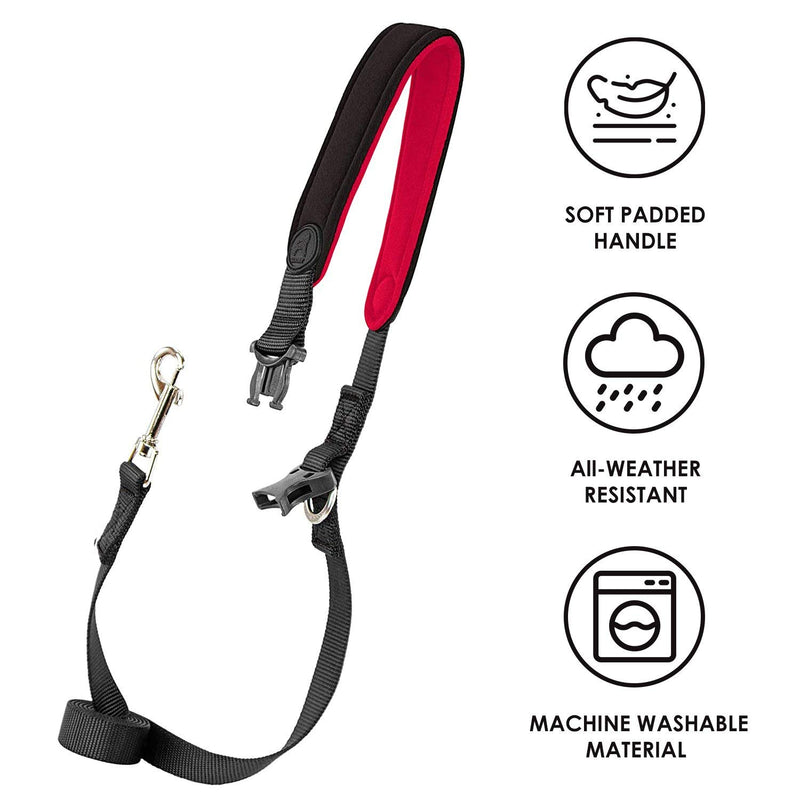 Gooby Dog Leash - 4 FT - Escape Free Sport Leash Padded Detachable Handle and Bolt Snap Clasp - Perfect on The Go Dog Leashes for Small Dogs, Medium, and Large Dogs for Indoor and Outdoor Use 4 Feet Black - PawsPlanet Australia