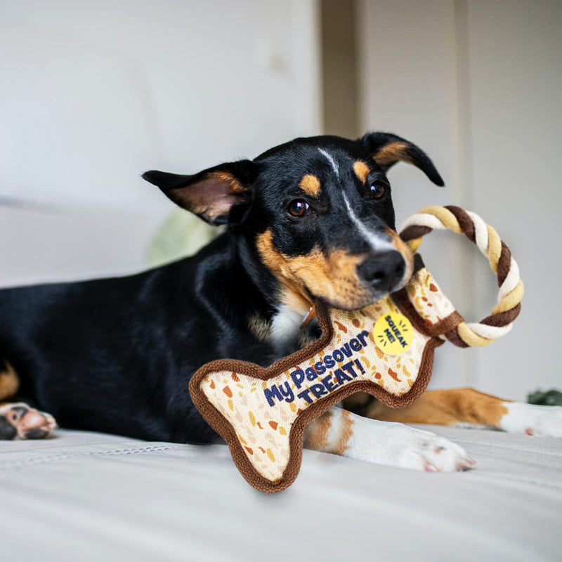 Rite Lite Chewdaica Passover Bone Squeaky Dog Toy, Perfect Passover Gift, Passover Dog Toys, Matzah Pattern Dog Toy, Passover Gifts for Dog Owners - PawsPlanet Australia