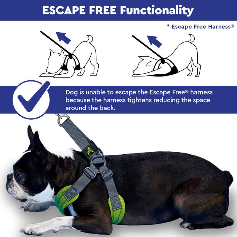 Gooby Escape Free Easy Fit Harness - No Pull Step-in Patented Small Dog Harness with Quick Release Buckle - On The Go No Pull Harness for Small Dogs or Medium Dog Harness for Indoor and Outdoor Use X-Small chest (15~17.25") Blue - PawsPlanet Australia