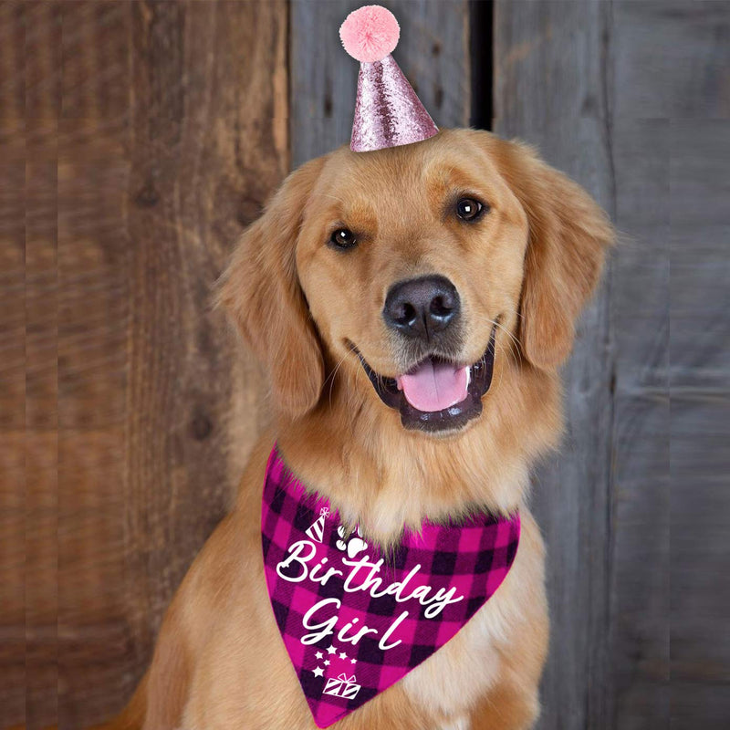 family Kitchen Classic Pink Plaid Pet Puppy Dog Bandana with Dog Birthday Party Hat Accessories, Girl Dog Birthday Bandana Scarf Bibs for Pet Birthday Outfit Party Supplies Set - PawsPlanet Australia