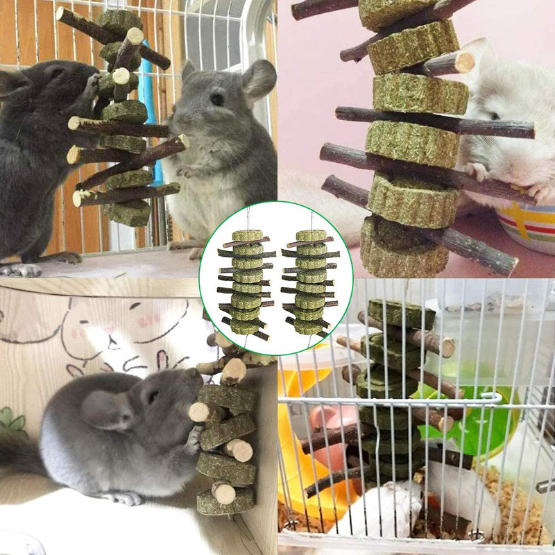 2PCS Small Animal Hamster Chew Toys, Rabbit Chew Toys,Natural Apple Wood Sticks Pet Chew Toy for Rabbits, Chinchillas, Guinea Pigs Improve Dental - PawsPlanet Australia