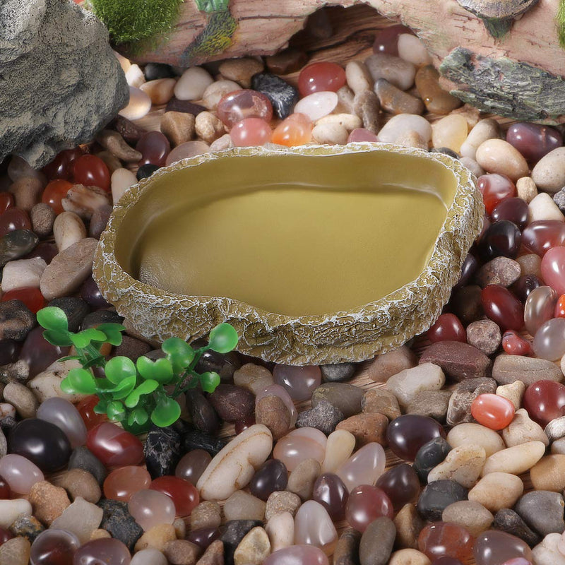 POPETPOP Pets Feeding Bowl - Reptile Feeding Plate, Vivarium Resin Food Water Feeding Dish for Tortoise, Turtle, Gecko, Snake, Pet Breeding Tray - Reptiles Supplies - PawsPlanet Australia