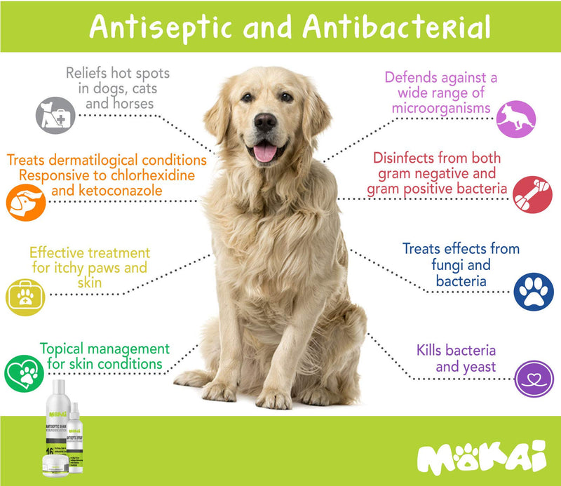MOKAI Antiseptic Wipes for Dogs Cats and Horses | Dog Chlorhexidine Wipes with Medicated Ketoconazle Dermatological Pads Hot Spots Itchy Paws Skin Rashes Dermatitis Ringworm Product Name - PawsPlanet Australia