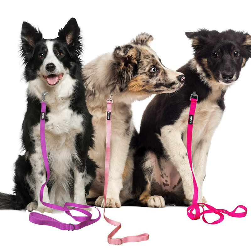 azuza 3 Pack Nylon Dog Leashes,Strong & Durable Basic Style Leash with Easy to Use Collar Hook,Available in Multiple Lengths for Puppy Small Medium and Large Dogs standard 3 pack 1"×4ft Pink - PawsPlanet Australia