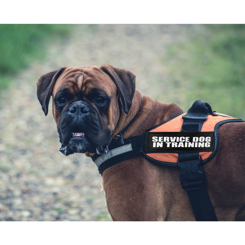 4 Pcs Reflective Dog Patches for Service Dog Vest Tactical Hook Loop Harness Removable Patch Set with Velcro Embroidered, Best Friend & Don’t Pet Me Dog & do not Separate (Best Friend) - PawsPlanet Australia