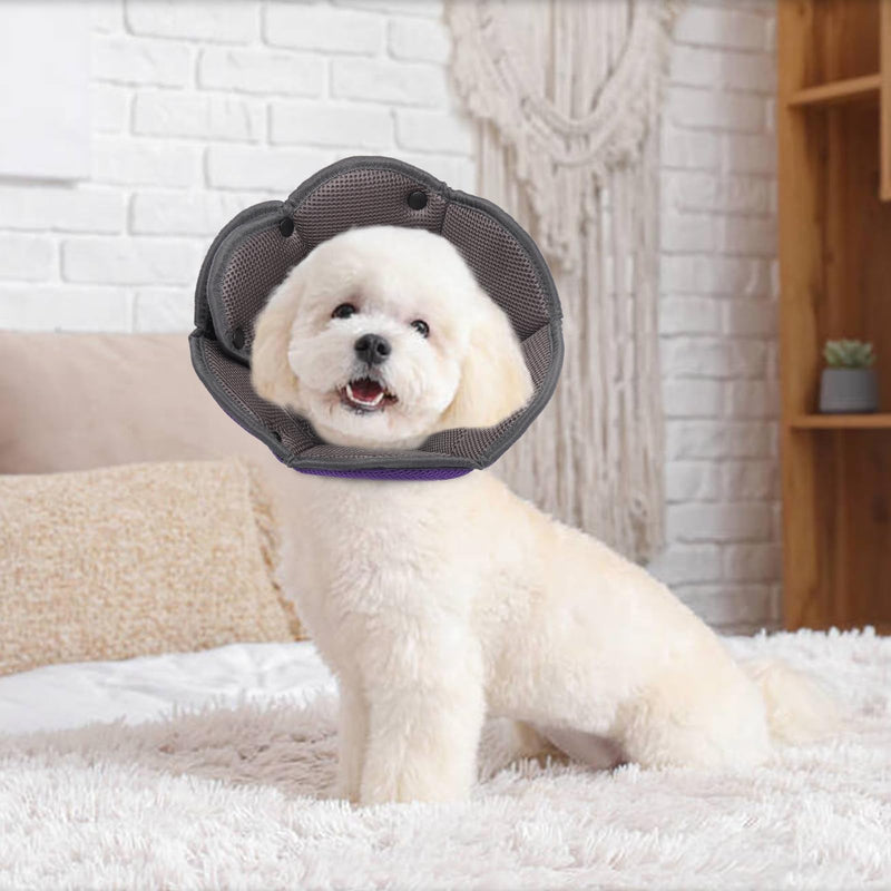 Neck Brace for Dogs, Cat Neck Brace, Protective Dog Collar, Breathable Dog Collar for Small, Medium and Large Dogs, Adjustable Dog Recovery Collar After Surgery - Purple XL XL (Neck: 42-55cm/16.5-21.7in) - PawsPlanet Australia
