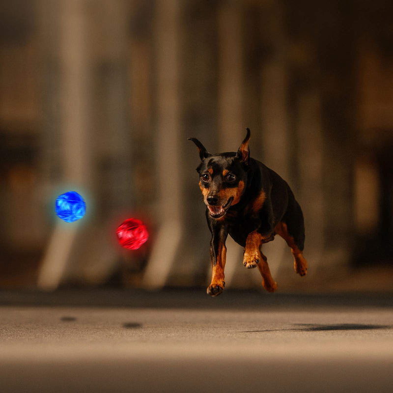 [Australia] - Weewooday 2 Pieces LED Light Up Dog Balls Pet Flash Bouncy Balls Dog Squeaky Balls Interactive Toys for Pets Dogs Party Favor, Blue and Red 