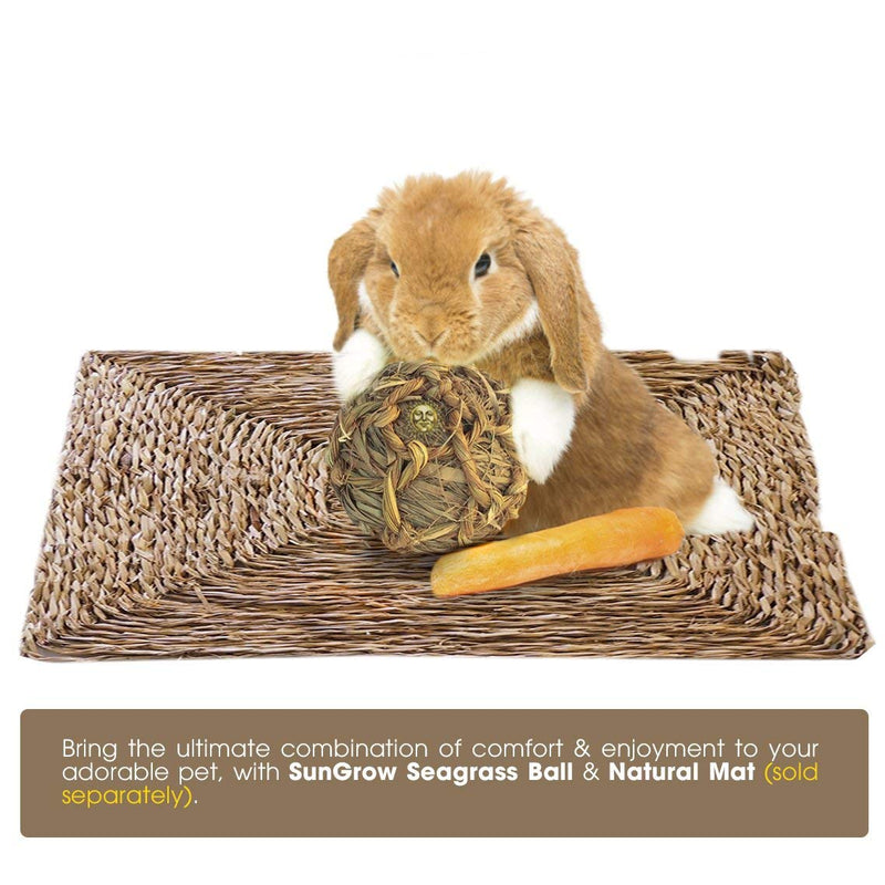 [Australia] - SunGrow Natural Seagrass Ball - Perfect & Safe Chewable Teething Toy for Rabbits, Cats, Hamsters, Gerbils & Birds : Healthy for Your Pet’s Gums & Teeth 