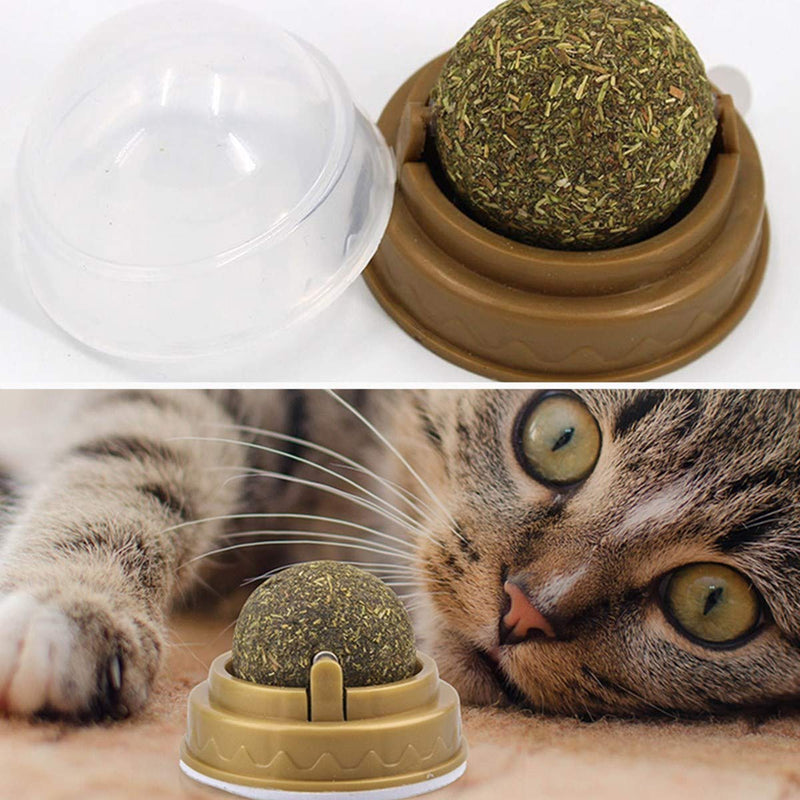 N\A 2 Pieces Catnip Toys Balls, Self-Adhesive Edible Catnip Toys Rotatable Natural Mint Leaf Rotating Interactive Cat Toy for Cats Kitten - PawsPlanet Australia