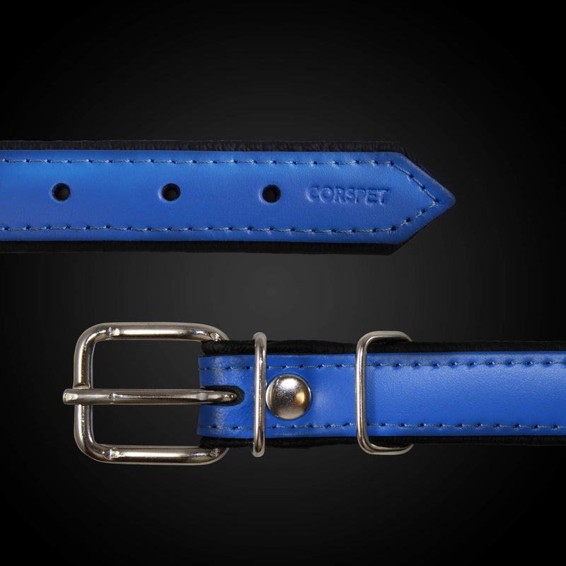 Corspet Top Genuine Leather Dog Collar - Studded Leather Collar W/Silver Nickel Plated Hardware | Soft Padded Double Sided | Handcrafted in The EU | for Puppy Small Medium X Large Dogs - Blue - PawsPlanet Australia