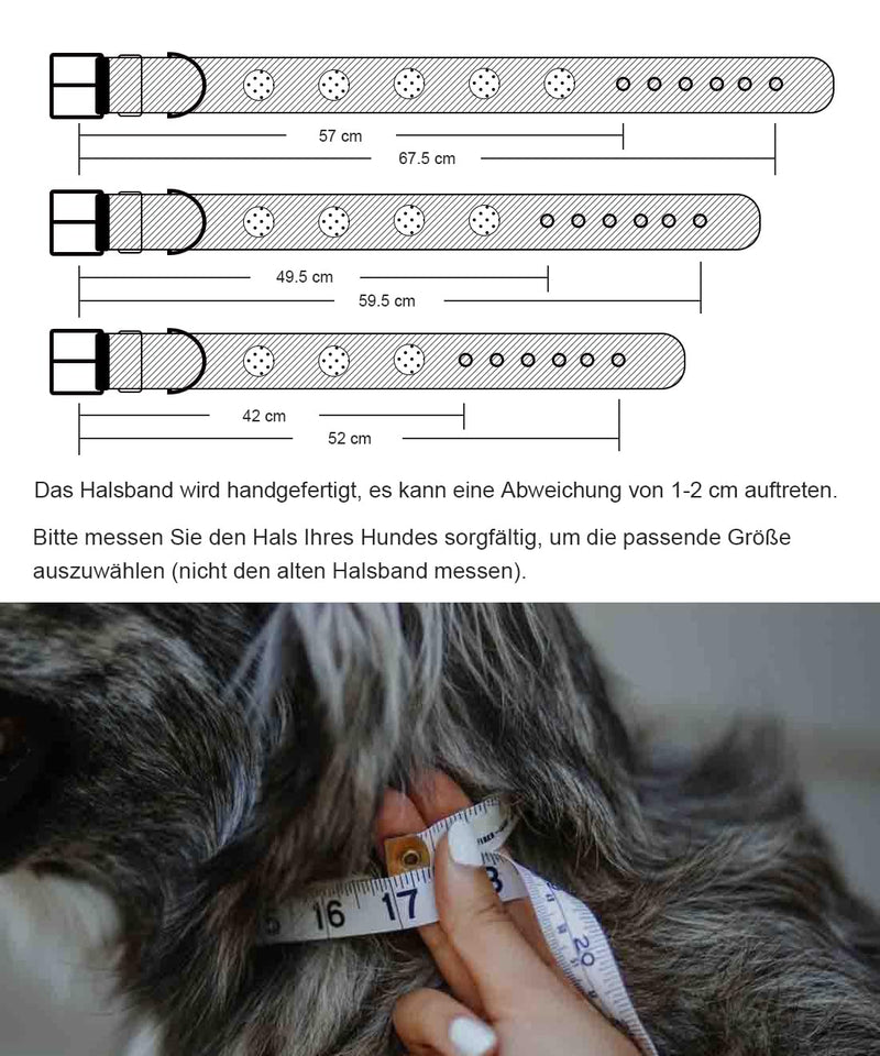 Dog collar leather, 5 cm wide robust genuine leather collar, handmade, soft and luxurious, eye-catching best choice for large and medium dog breeds 57-67.5 cm - PawsPlanet Australia