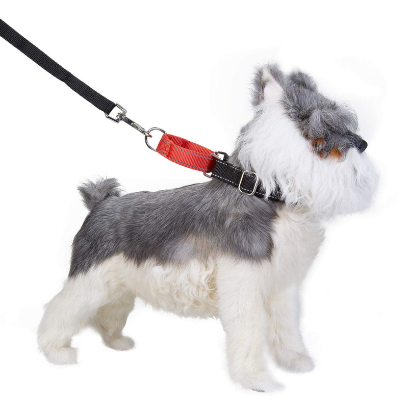 PETTOM Martingale Heavy Duty Nylon Dog Collar, Half Choke Training Collar for Medium Large Dogs, Adjustable with Easy On-off Buckle (L: 48-65 CM, Black) L: 48 - 65 CM - PawsPlanet Australia