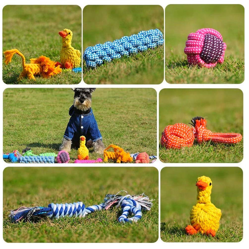 RoyalCare Dog Toys 12 Pack Gift Set, Ball Rope and Chew Squeaky Toys for Medium to Small Dog - PawsPlanet Australia