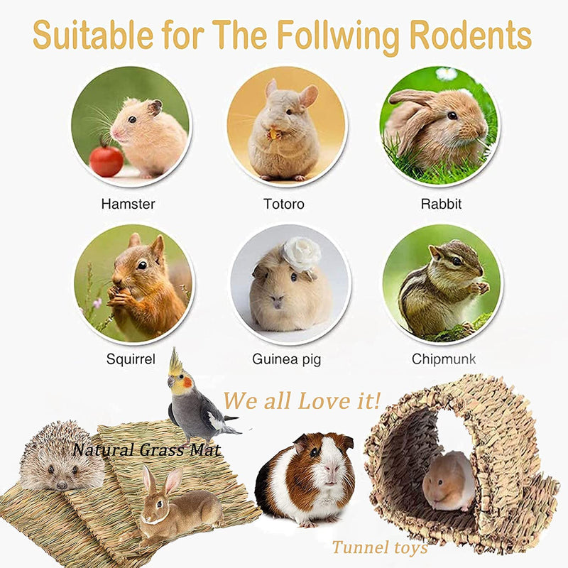 Grass Mat-Woven Bed Mat, Rabbit Bunny Bedding Mat for Small Animals, Natural Straw Woven Grass Bed Mat Chew Toys Bed for Pet, Guinea Pig Hamster Chinchilla Parrot Squirrel Rat 3PCS - PawsPlanet Australia