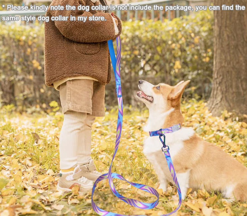 JDIDNEID Durable Nylon Dog Leash, 6FT Tie dye Dog Leash with Heavy Duty Holographic Laser Hardware Comfortable Padded Handle Leash for Small Medium Large and Ex-Large Dogs S: 6ft x 3/5" pink purple - PawsPlanet Australia