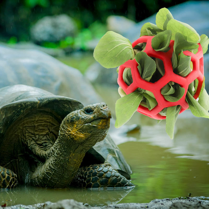 LODCZIOE Turtle Treat Ball Toy Hay Feeder Ball, Feeding Grass Ball for Turtle, Fruit Vegetable Feeder Holder Foraging Toy for Small Animals Pet Red/Excursion, Plain (Getaway Solids) - PawsPlanet Australia