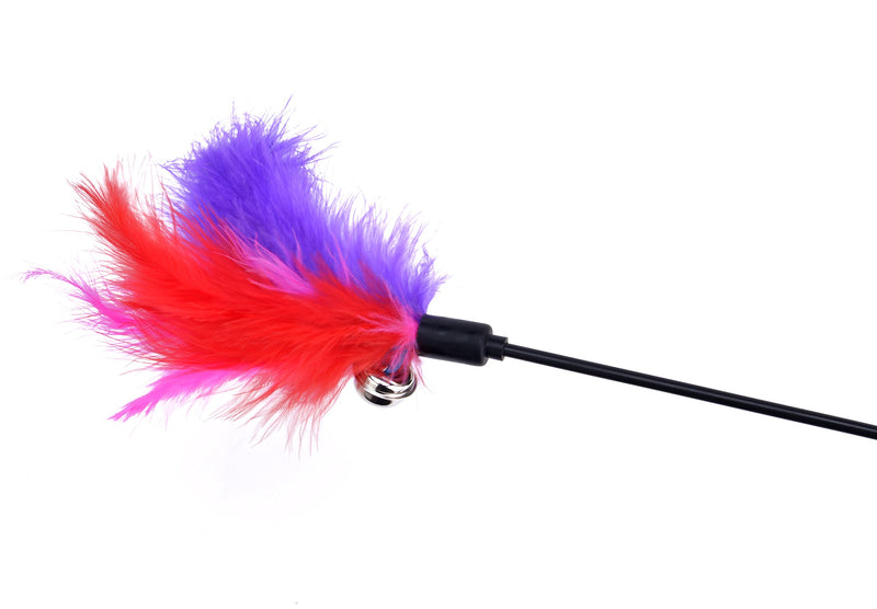 [Australia] - BINGPET Cat Toys Color Vary Feather Teaser and Exerciser Wand for Cat and Kitten, 3 Piece 