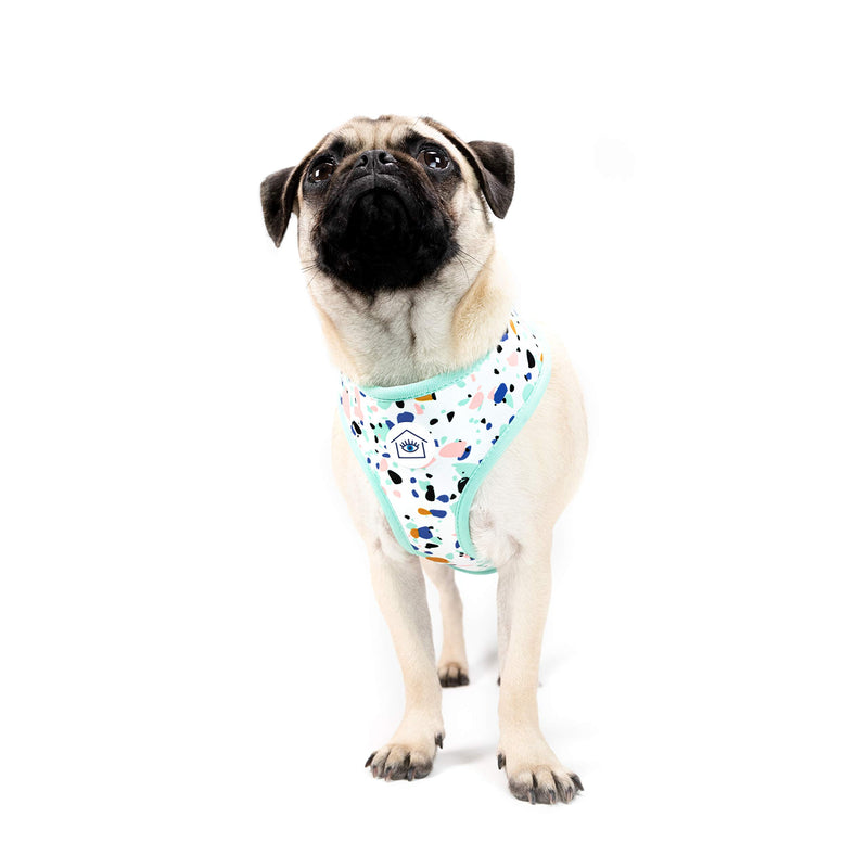 [Australia] - Now House by Jonathan Adler for Pets Dog Harnesses | Reversible Harnesses for Dogs Available in Multiple Prints and Sizes | Comfortable and Chic Dog Accessories for All Dogs Terrazzo Medium 
