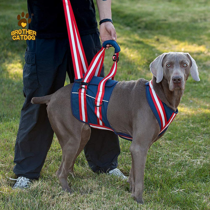 XTrador dog harness carrying aid for dogs especially for hip problems carrying strap for injured, older or musculoskeletal limited dogs rehabilitation safety walking aid (S) S - PawsPlanet Australia