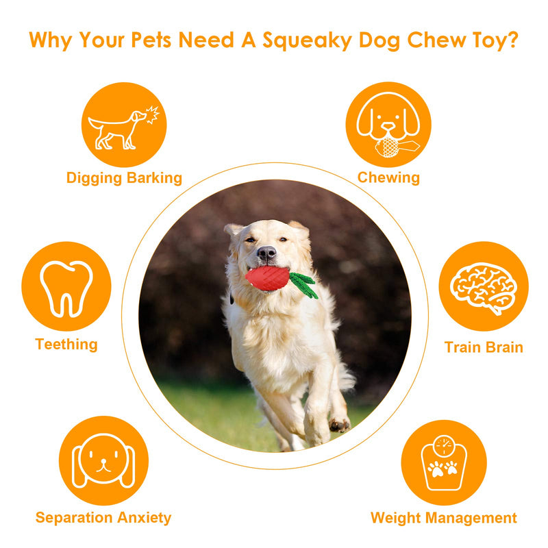 Dog Squeaky Toys for Aggressive Chewers, Dog Chew Toys for Small Medium Large Breed Natural Rubber Interactive Dog Toy (Bird Toy) Bird Toy - PawsPlanet Australia