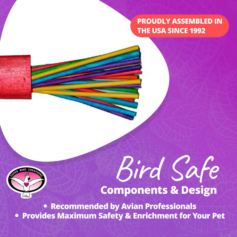 Super Bird Creations SB301 Chewable Paper Party Bird Toy with Colorful Lollipop Sticks, Large Size, 6.5” x 1.5” x 1.5”,Varies - PawsPlanet Australia