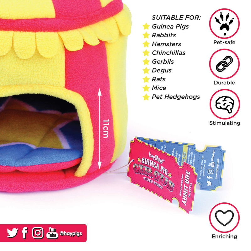 HAYPIGS Starter Set - Circus Themed Guinea Pig Toys and Accessories - Guinea Pig Toys - Guinea Pig House - Guinea Pig Bowl - Guinea Pig Tunnel - Guinea Pig Hideaway - Guinea Pig Food Bowl 2. Haypigs Starter Set - PawsPlanet Australia