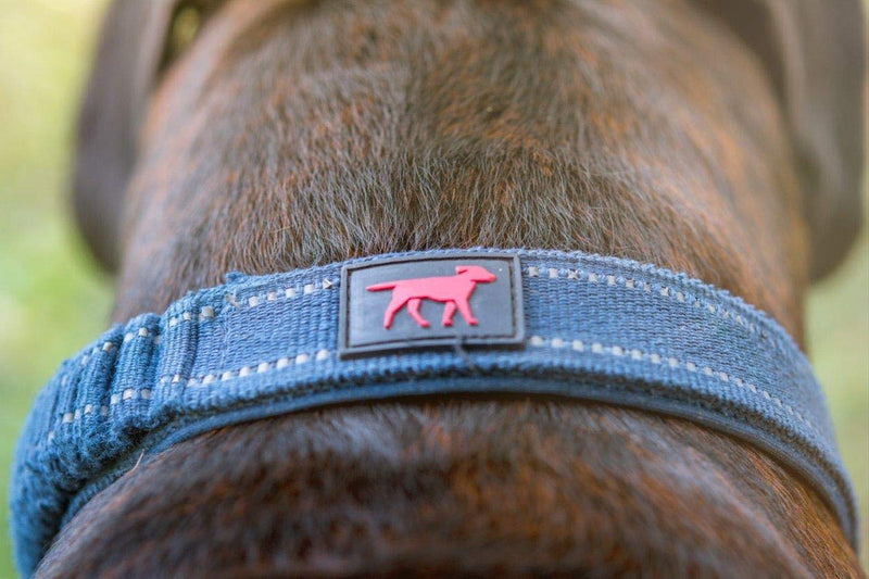 Tuff Pupper Heavy Duty Dog Collar with Handle | Ballistic Nylon Heavy Duty Collar | Padded Reflective Dog Collar with Adjustable Stainless Steel Hardware | Convenient Sizing for All Breeds 13 - 17" Brown - PawsPlanet Australia