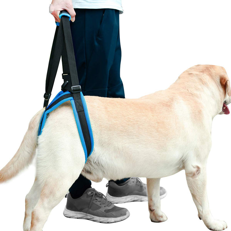 [Australia] - ZEEY Pet Dog Canine Sling Dog Lift Harness Dog Leg Brace Adjustable Straps for Hind Back Leg - Help Support Balance Dogs Harness for Arthritis Rehabilitation M 