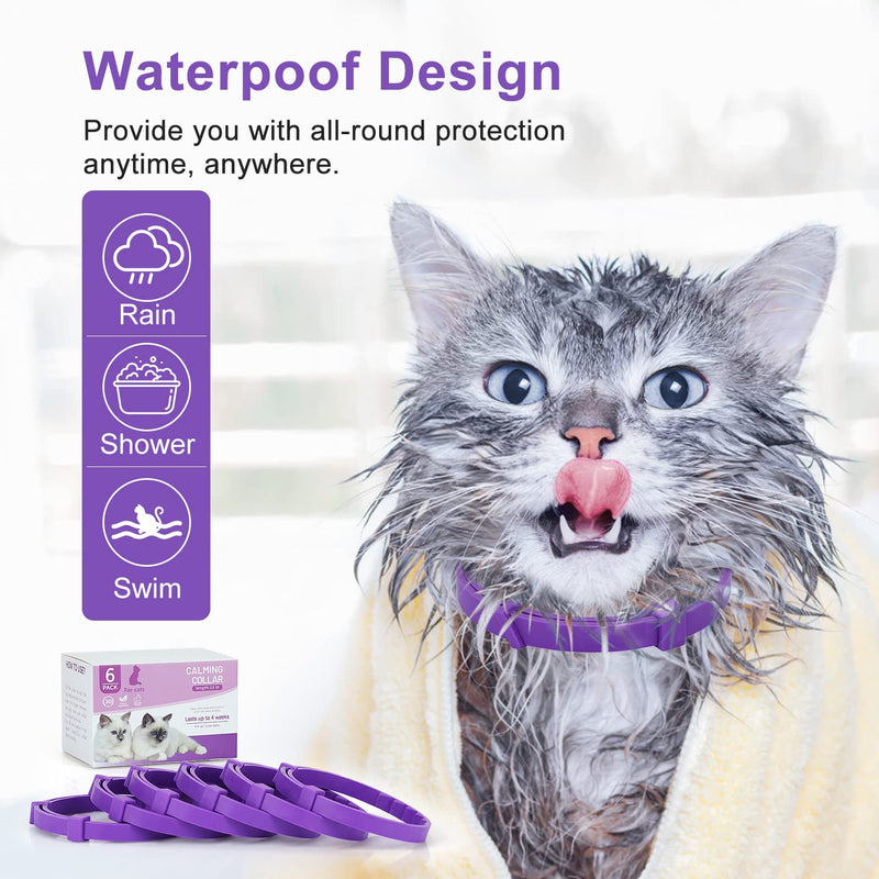 Anipaw Calming Collar for Cats 6 Pack Cat Calming Collar Relaxing Cat Pheromone Collar Adjustable Breakaway Design for Small Medium Large Cats Kitten Peeing Relieve Anxiety and Stress (Purple) Purple - PawsPlanet Australia