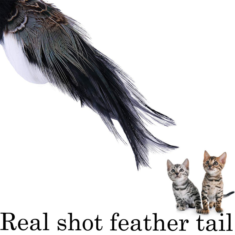 JAKAGO Cat Toys Realistic Bird Kitten Chase Dangle Toy Soft Feather Handmade Imitate Sparrow Simulate Parrot Stimulate Pet Instincts (Black) Black - PawsPlanet Australia