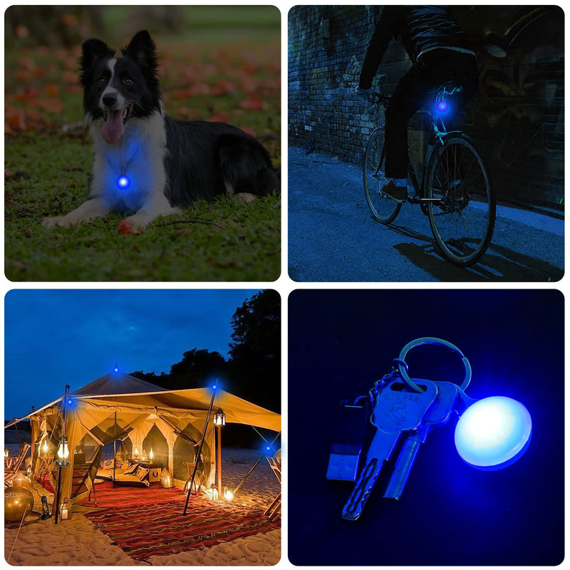 Pwsap Safety LED Flashing Light for Dogs, Cats, Light Pendant Dog Cat Collars Key Chain, 3 Flashing Modes Waterproof Safety Pet Lights Blue - PawsPlanet Australia
