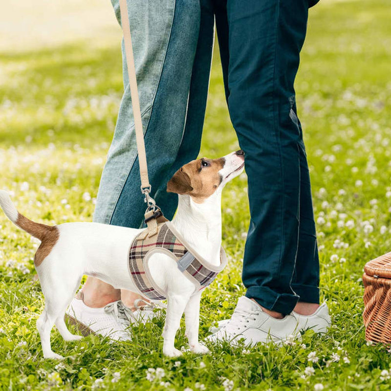 PUPTECK Adjustable Pet Harness Collar and Leash Set for Small Dogs Puppy and Cats Outdoor Training and Running with Classic Beige Plaid Pattern XS: Chest girth: 11.5-13.5in Collar: 9-11.5in - PawsPlanet Australia