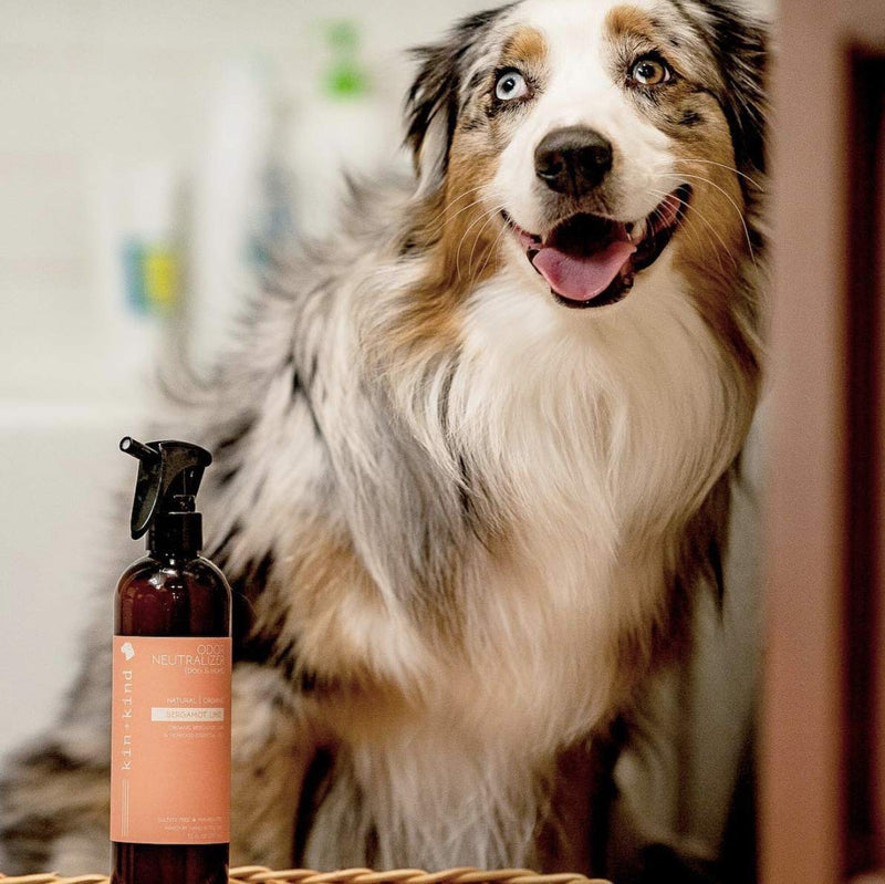 [Australia] - kin+kind Dog|Home Organic Odor Neutralizer (Bergamot Lime), 12oz 