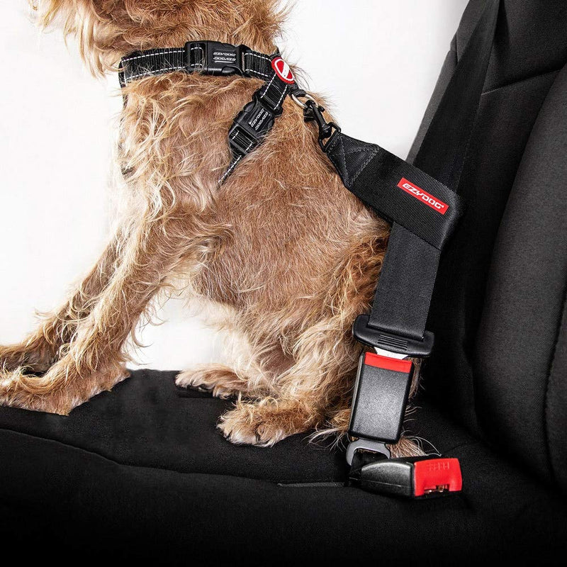 EzyDog Universal Dog Car Restraint - Dog Seat Belt Safety Lead - Abrasion-Resistant Vehicle Seatbelt Harness Attachment with Superior Strength and Nylon Webbing - Easy-to-Use Click It and Go Design - PawsPlanet Australia