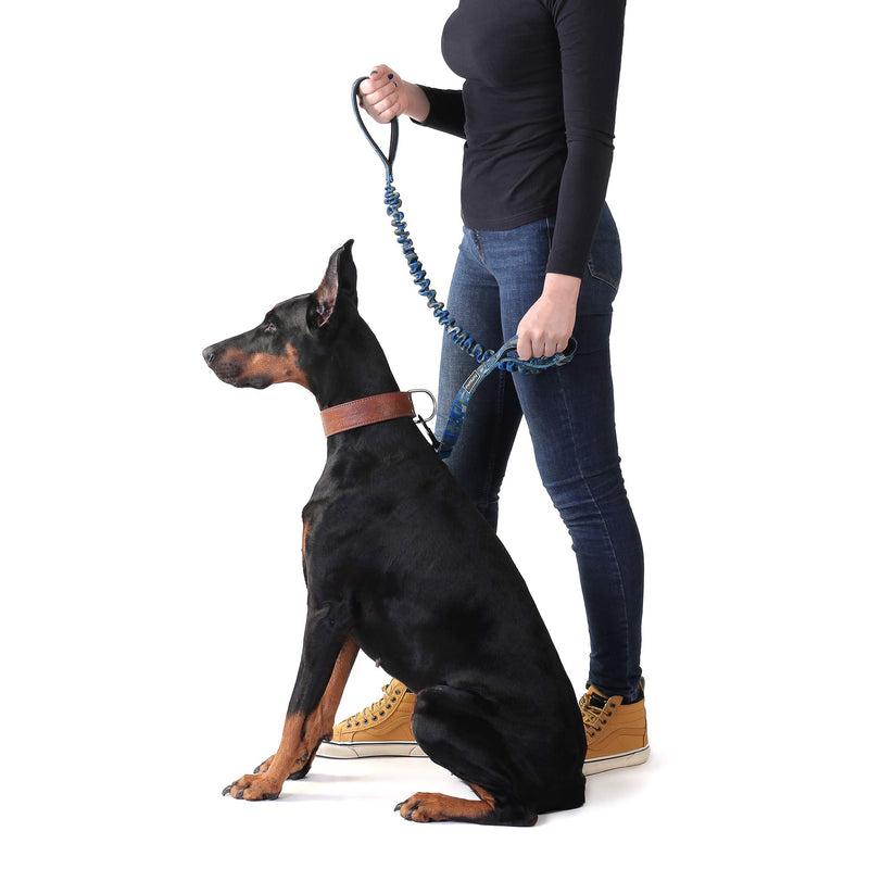 [Australia] - PetSpy Two Handle Dog Leash with Shock Absorbing - Improved Control & Training Bungee Pet Lead 6 ft Green 