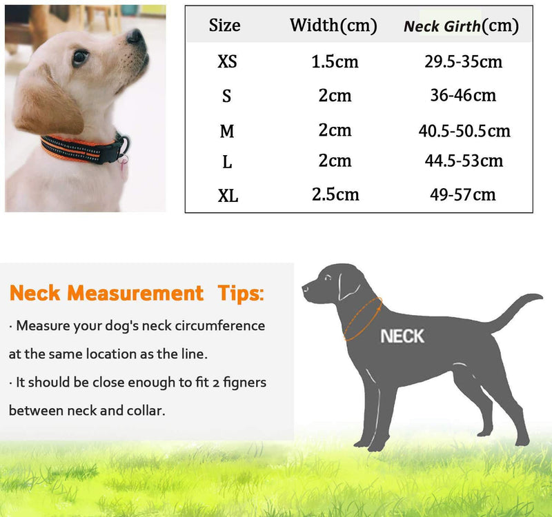 Kaka mall Pet Safety Collar Padded Mesh Soft 3M Reflective Adjustable Breathable for Puppy Extra Small Dogs Cats (XS, Blue) XS: Length 30-35 CM/11.8-13.8 Inch - PawsPlanet Australia