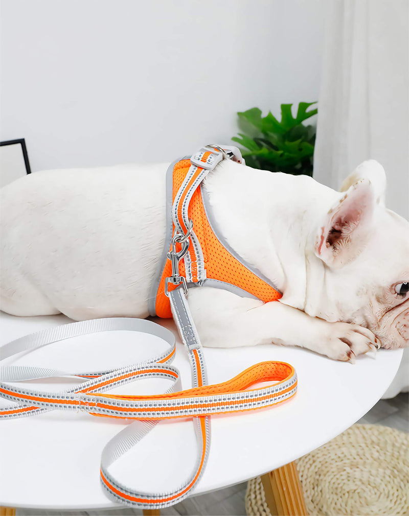 risdoada Air Mesh Adjustable Pet Harness with Leash, Reflective Puppy Vest, Soft Dog Chest Strap for Small Medium Large Dogs and Cats, Orange M M Chest 17.7-19.7 inches - PawsPlanet Australia