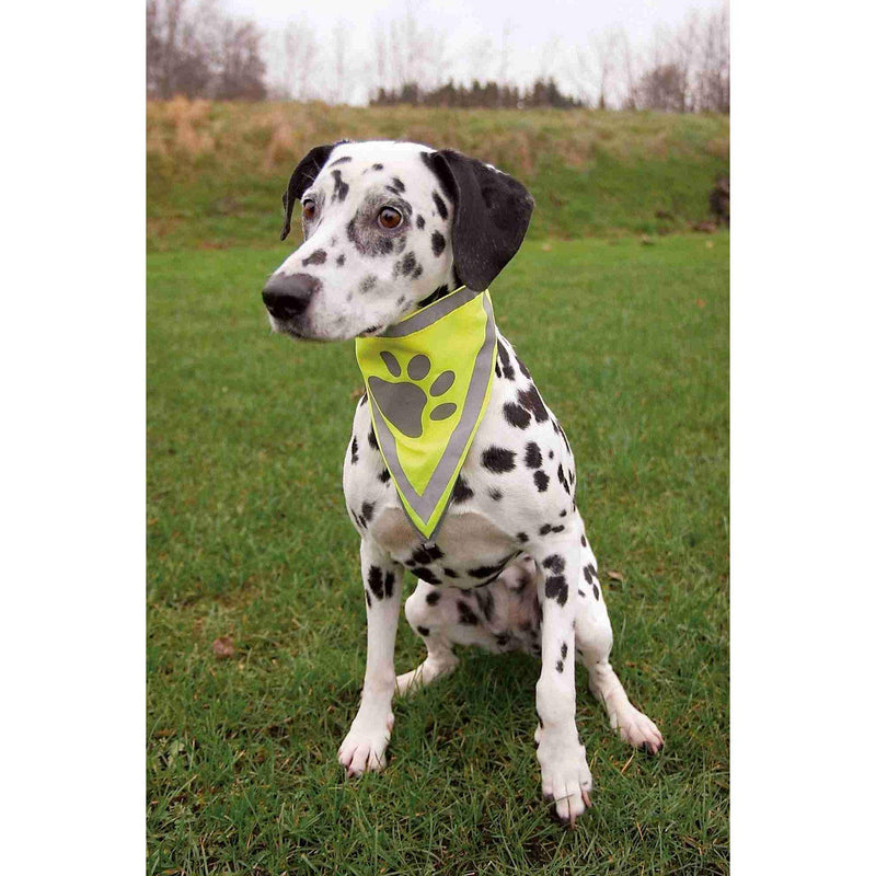 Trixie Safer Life Neckerchief for Dog, 42 cm S-M 29 - 42 cm - PawsPlanet Australia